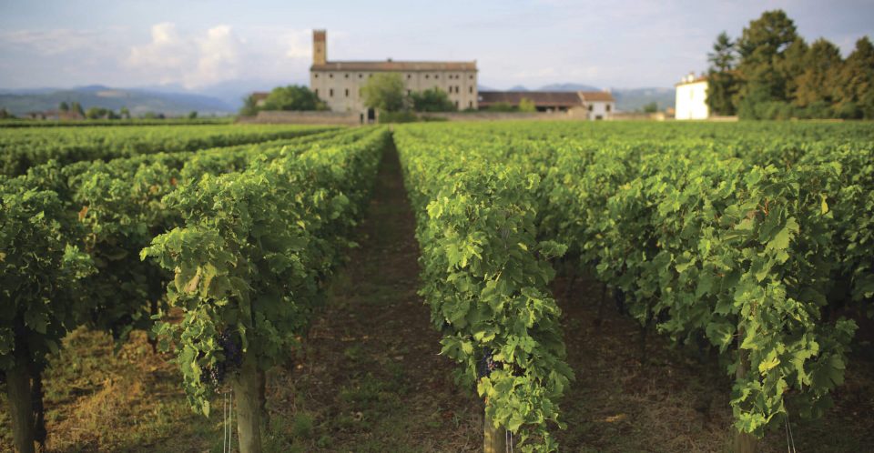 Tenuta Santa Maria di Gaetano Bertani - Valpolicella Verona Italy