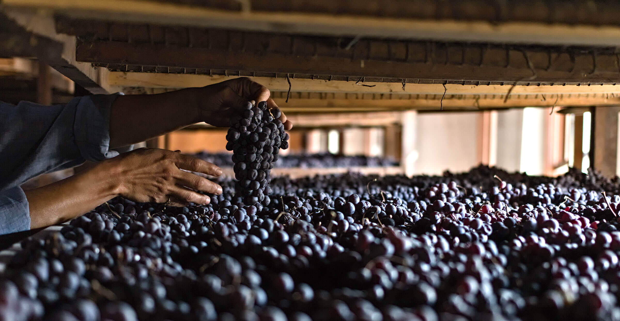 Tenuta Santa Maria di Gaetano Bertani - Valpolicella Verona Italy