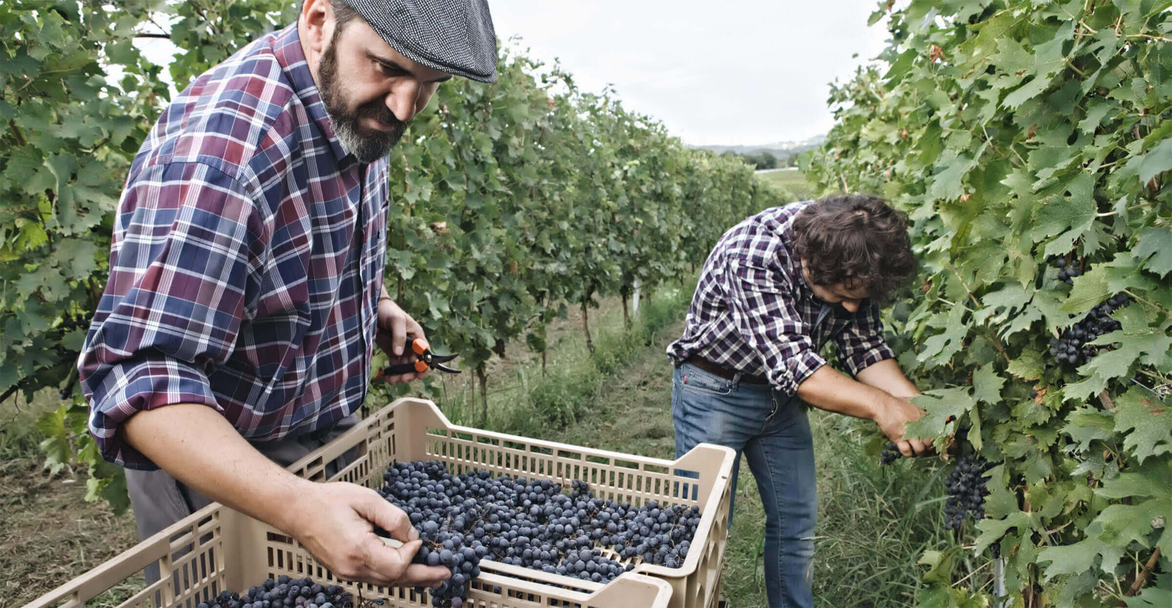 Tenuta Santa Maria di Gaetano Bertani - Valpolicella Verona Italy