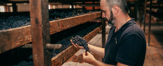 Appassimento in fruttaio Tenuta Santa Maria di Gaetano Bertani