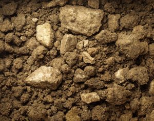 Terreni_marnosi_Tenuta-Santa-Maria_Valpolicella-Verona marl soils Tenuta Santa Maria Valpolicella