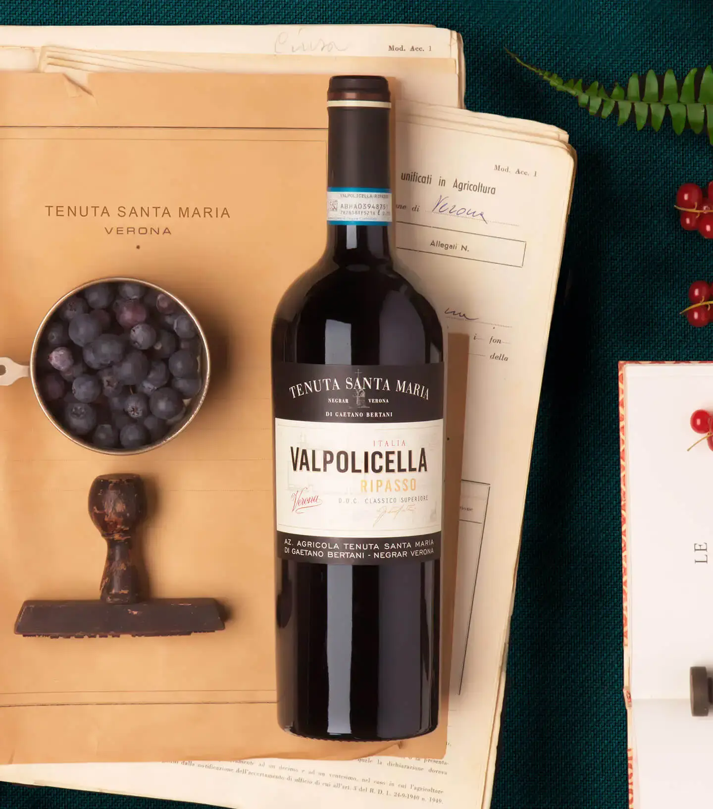 Valpolicella Ripasso Classico Superiore Doc